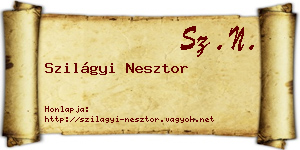 Szilágyi Nesztor névjegykártya